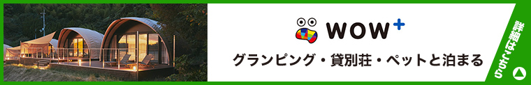 image-widget-banner