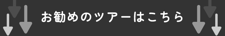 image-widget-image